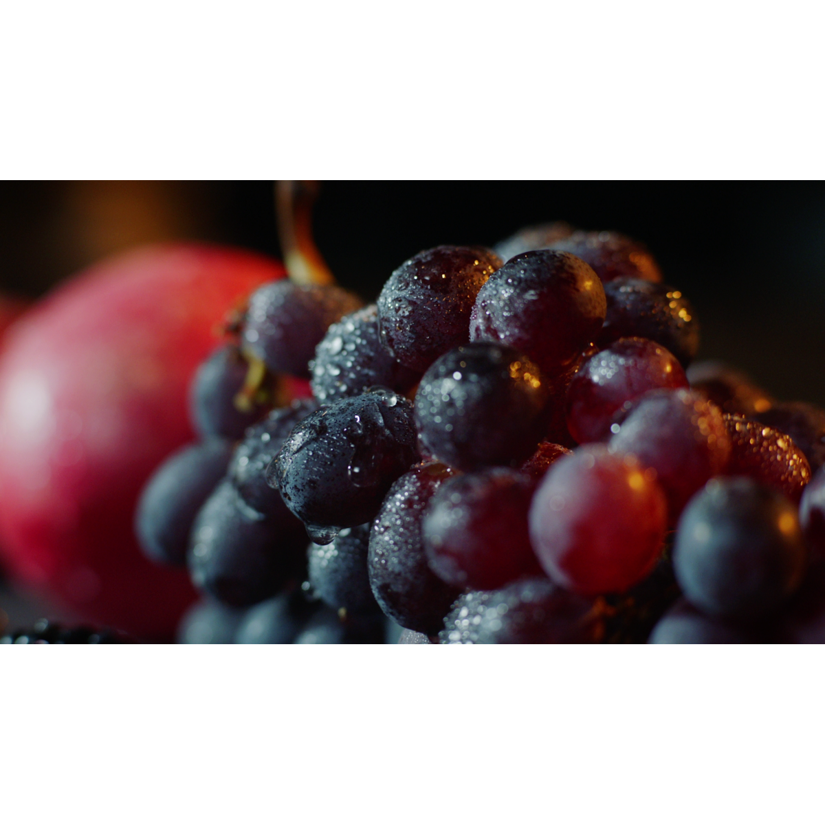 AEG - Montuojamas šaldytuvas su šaldikliu - SCE819E5TS