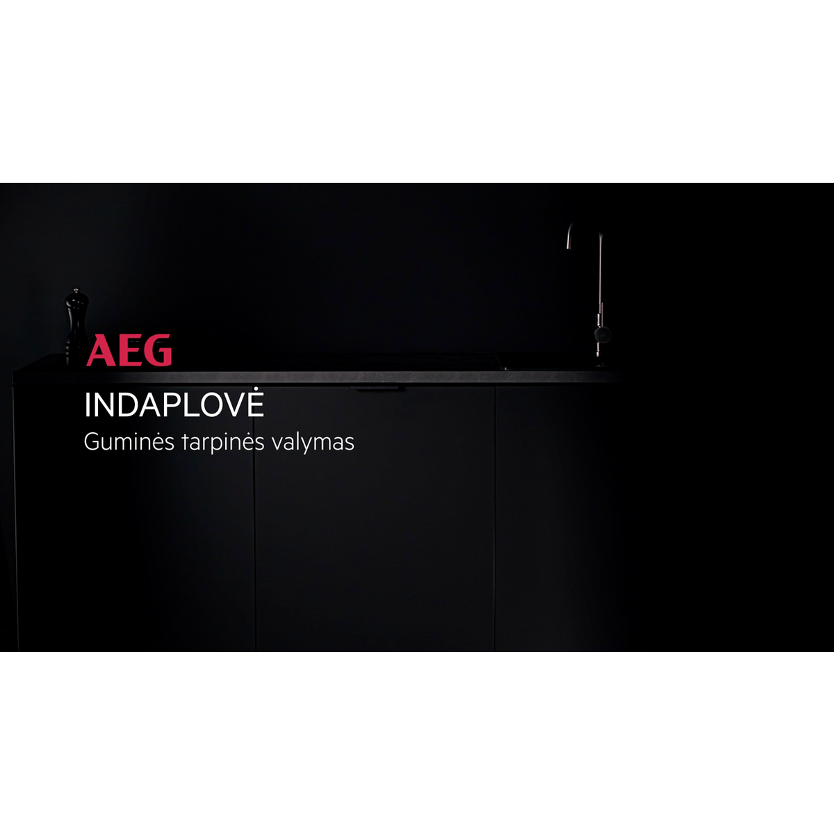 AEG - Laisvai pastatoma indaplovė - FFB74917ZM