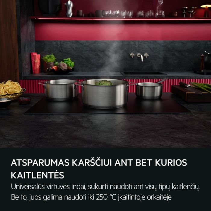 Atsparumas karščiui ant bet kurios kaitlentės Universalūs virtuvės indai, sukurti naudoti ant visų tipų kaitlenčių. Be to, juos galima naudoti iki 250 °C įkaitintoje orkaitėje