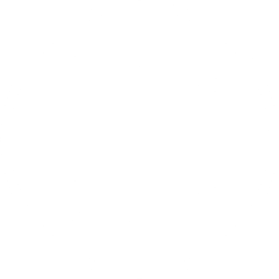 FlexiBridge